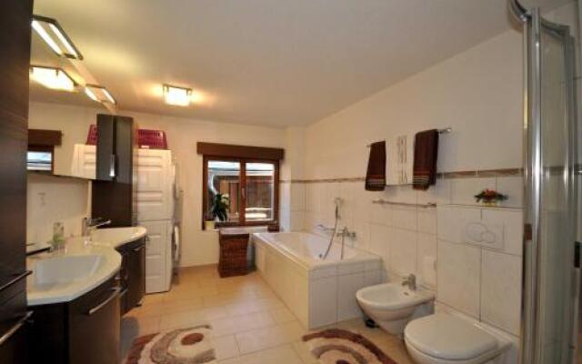 Curtin sot 17 Pitaro