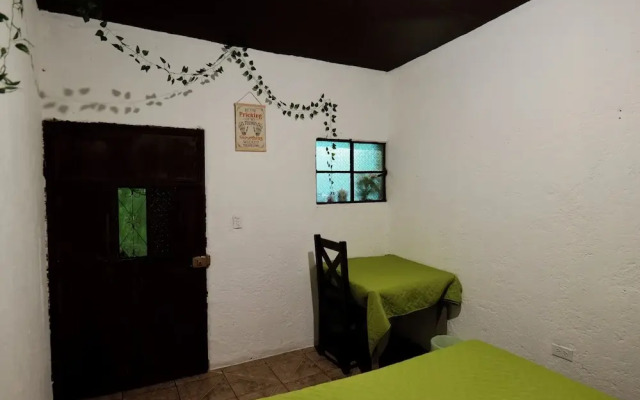 Wonderland Hostel