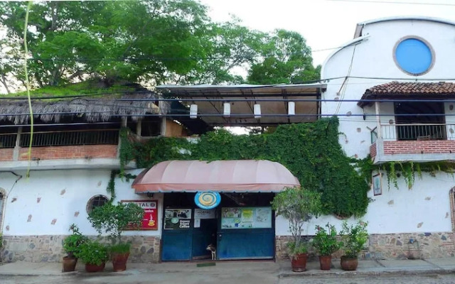 The Octopus's Garden