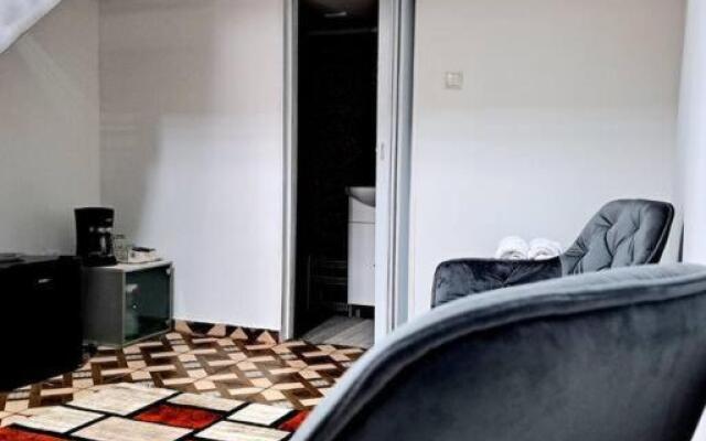 Apartament central tip studio