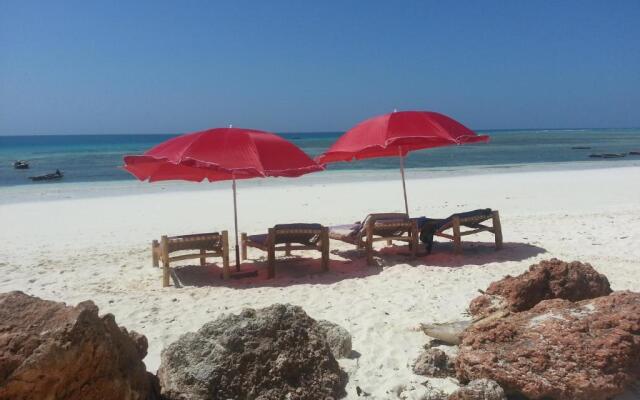 Ebony & Ivory Beach Bungalows