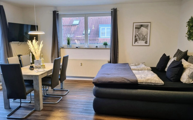 Leipzig Residenz Goethe Apartment mit Whirlpool und 2 Dachterrassen