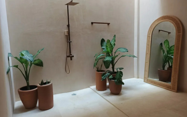 Macondo Arte Punta Zicatela