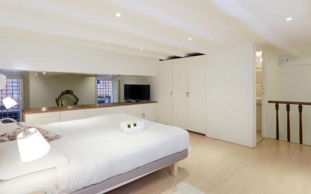 DS Palazzo Borghese Loft