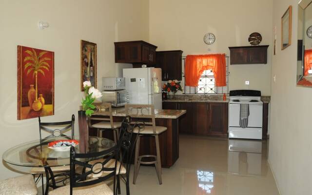 Drax Hall Manor Villa Ocho Rios