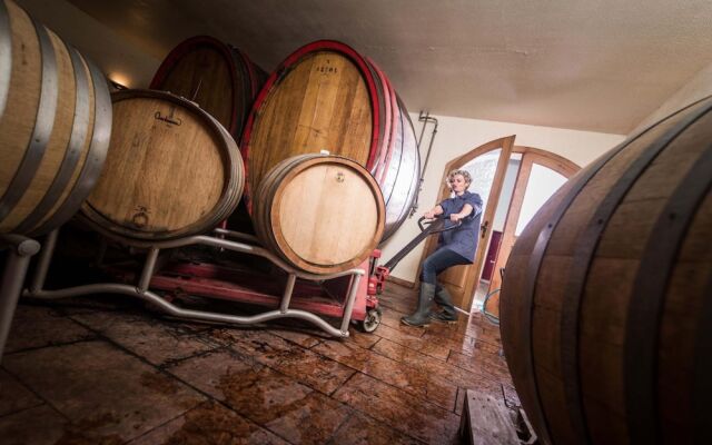 Familienweingut Braun