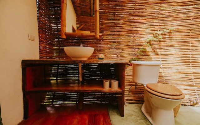 The Seed Habitat