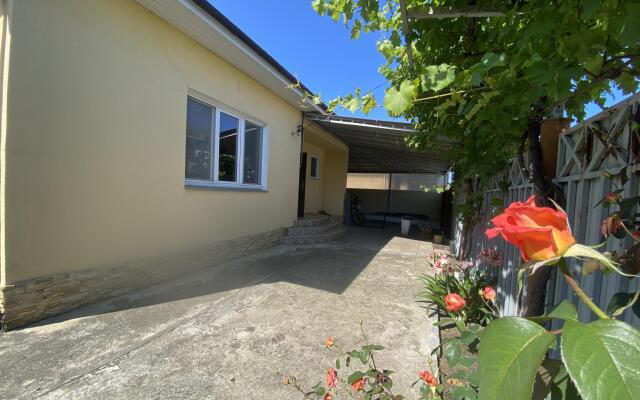 Cottage on Metreveli street