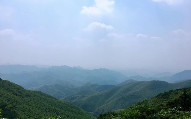 Moganshan Bamboo View Guesthouse