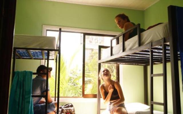 Howler Monkey Hostel DownTown