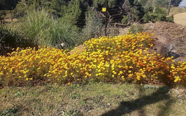 Kleineweide Guest House