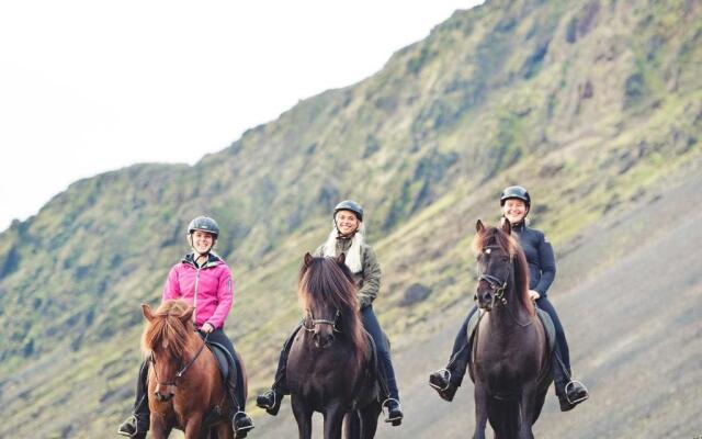 Akurgerði Guesthouse 2 - Country Life Style
