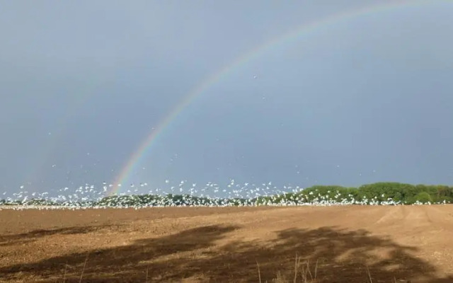 Landhaus Moisselbritz