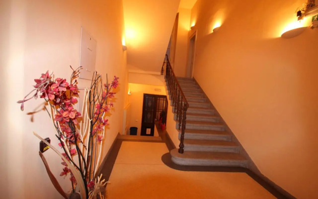 Apartment Halkova 5