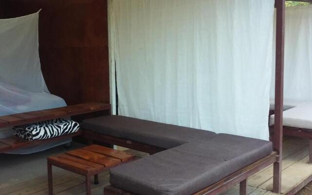 Bolita Rainforest Hostel and Cabinas