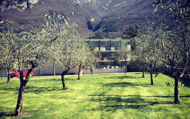 Park Hotel Il Vigneto