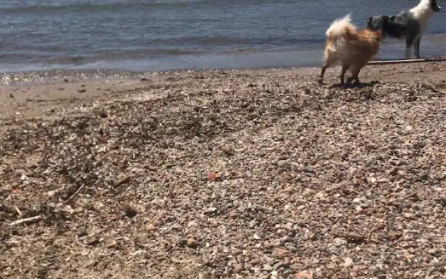 Impresionables Vistas Al Mar