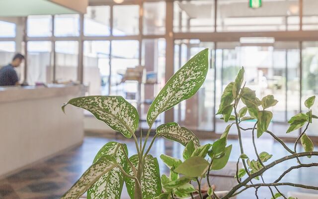 La Teada Kume-island