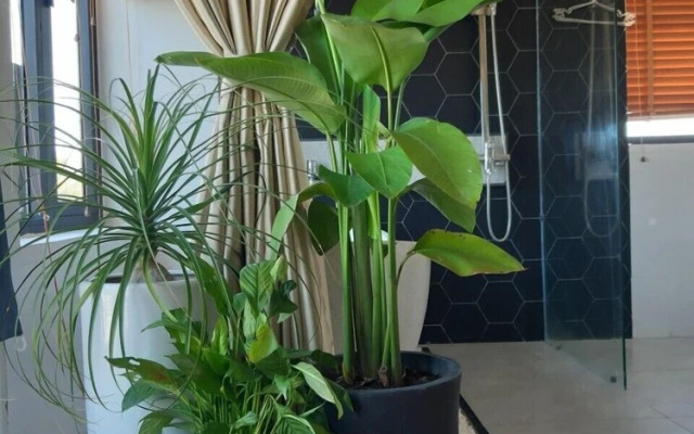 An Bang Villa