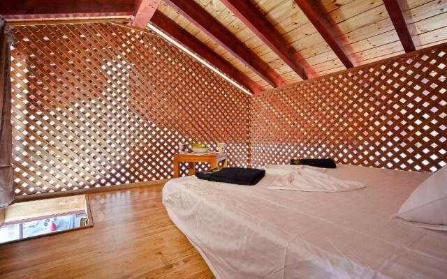 Golden fox Villa