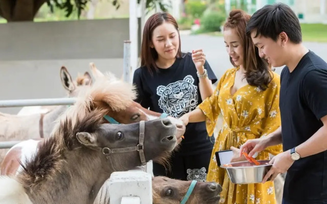 Resort Huangchui Baan Phu Khao