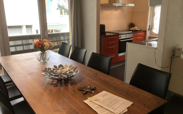 Apartments Steinbock