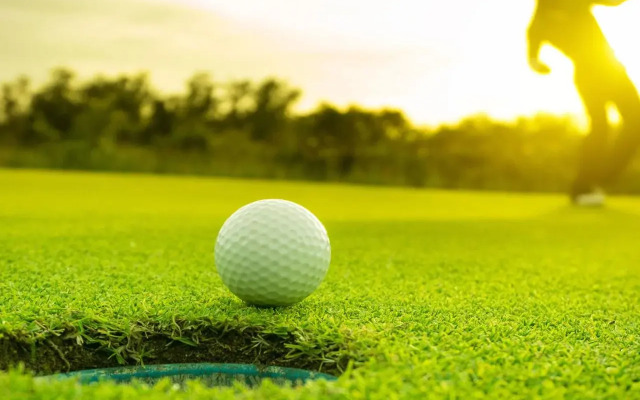 Best Western Halito Inn