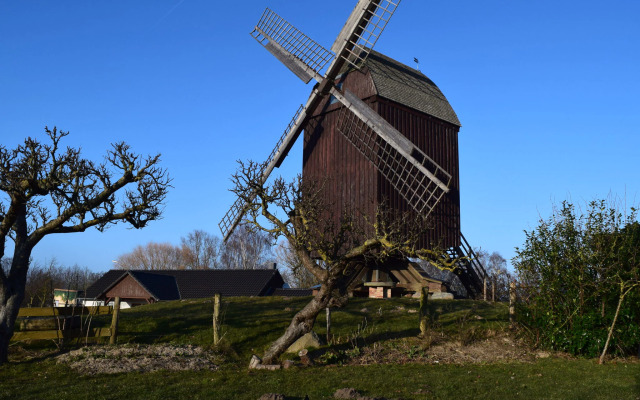 Cottage, Freest in Freest