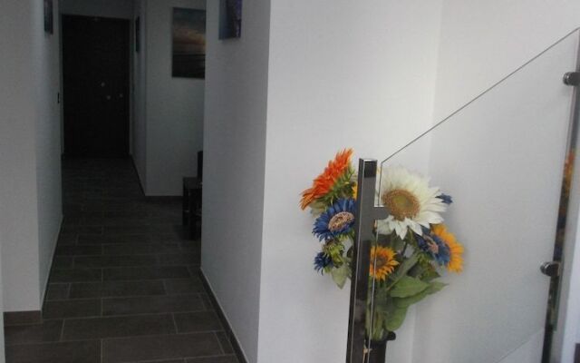 Hostal Maria Jose