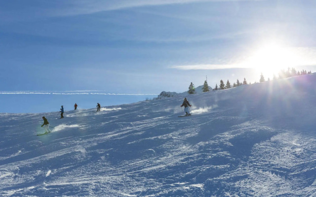 alpenhotel Kaiserfels