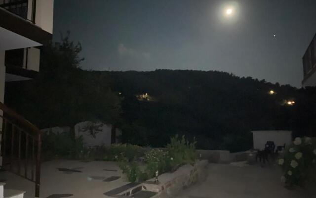 Despina Studios Raxes Ikaria # 1