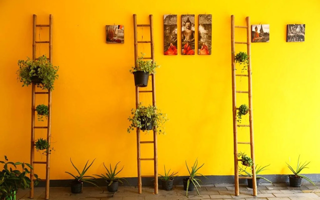 Tree Hostel Bangkok