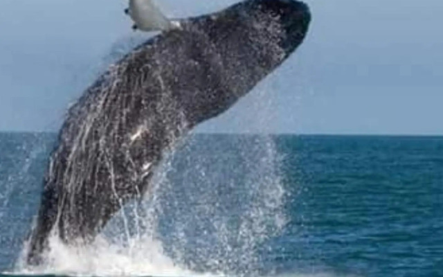 Residência Morada Do Sol