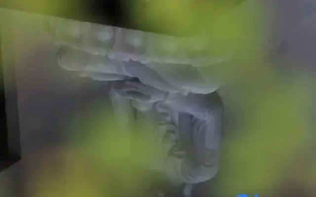 Villa-BlueTree Boutique Guesthouse