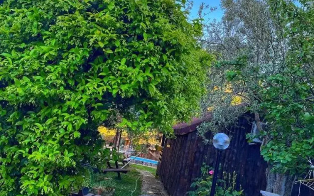 ZeytinDagi Bungalow Butik Otel