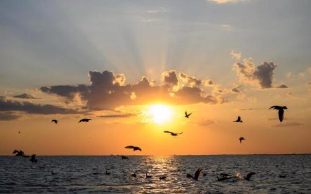 Danube Delta Hostel Homestay