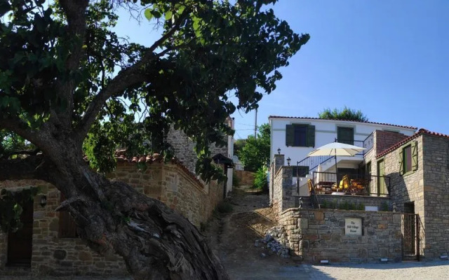 The Hill Village House
