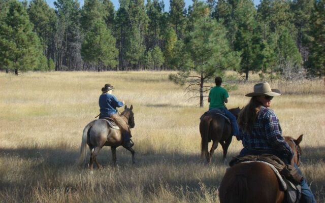 Dream Haven Guest Ranch