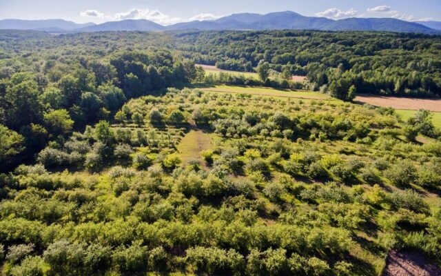 Hotel du Domaine Saint Loup