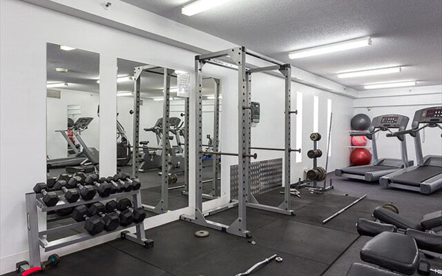 City Penthouse Views Wine Pool Gym Netflix