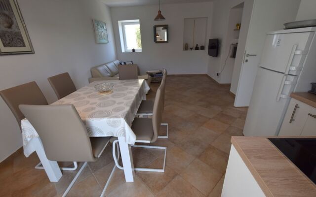 Apartment Srsic