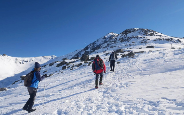 Altavista mountain apartment