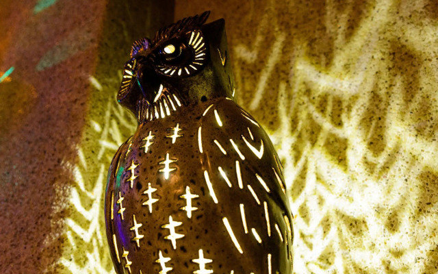 Owl Castle Bed and Breakfast