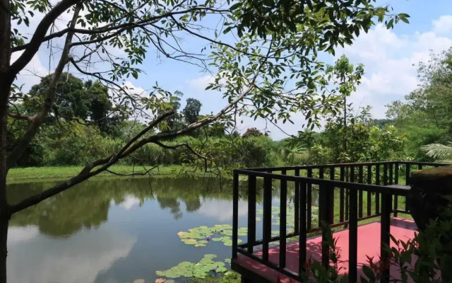 Sleepy Lagoon
