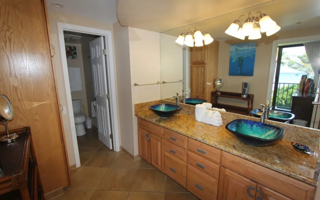 Valley Isle 401