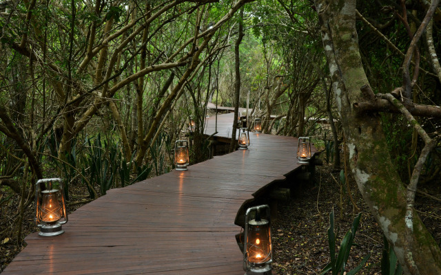Sibuya Game Reserve