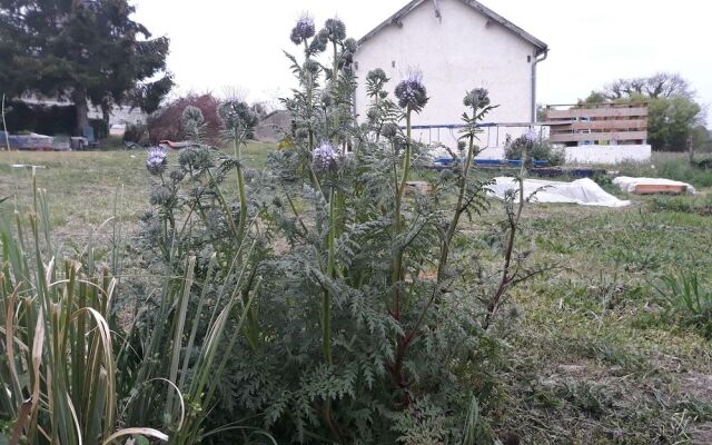 B&B Chante Cristal Chambre