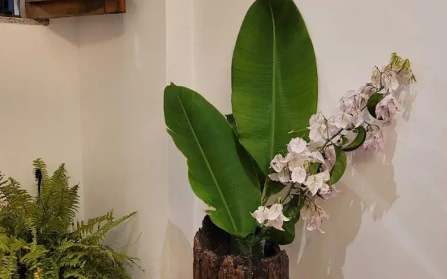 Pelourinho Boutique Hotel - OH HOTÉIS