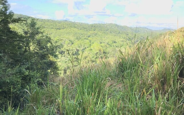 Mango Walk Inn
