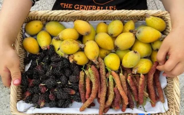 Deng Stone House Pastoral Resort